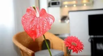 Apartment Appart Ambiance - Presqu'Ile Lyon France